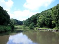 神奈川県立四季の森公園