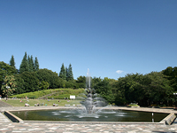 世田谷公園