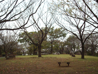 舞岡公園