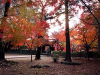 東漸寺